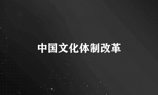 中国文化体制改革
