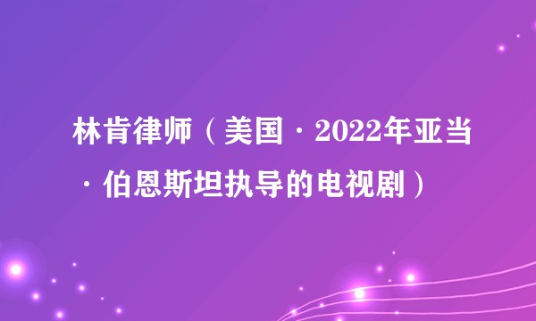 林肯律师（美国·2022年亚当·伯恩斯坦执导的电视剧）