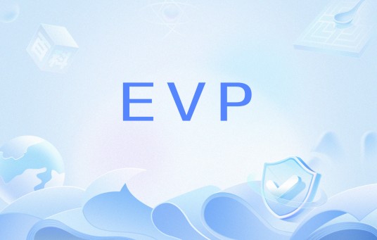 EVP（网络流行语）