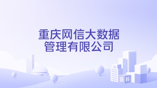 重庆网信大数据管理有限公司