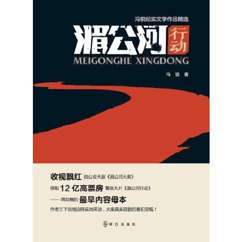 湄公河行动（2020年群众出版社出版的图书）