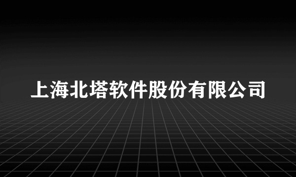上海北塔软件股份有限公司