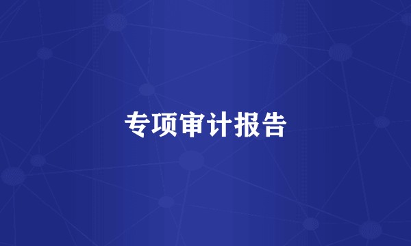 专项审计报告