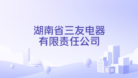 湖南省三友电器有限责任公司