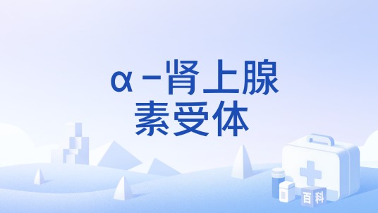 α-肾上腺素受体