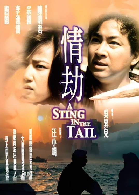 情劫（1993年田大鹏导演爱情片）