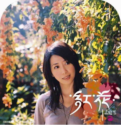 你看你看月亮的脸(孟庭苇2005年重新编曲演唱的歌曲)