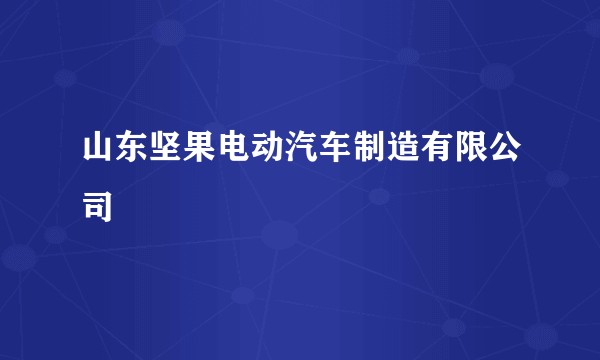 山东坚果电动汽车制造有限公司