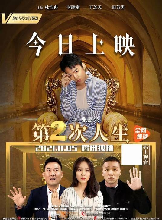 第二次人生（2021年张嘉兴执导的网络电影）
