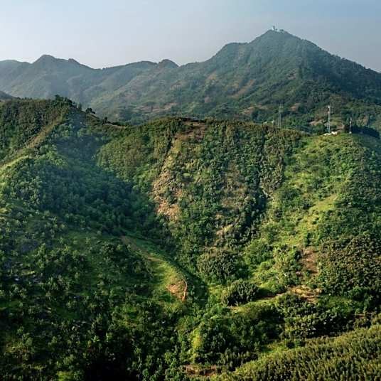 天目山风景区