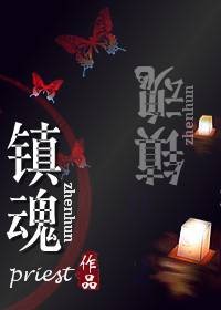 镇魂（2019年贵州人民出版社出版的图书）