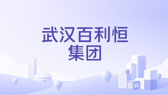 武汉百利恒集团