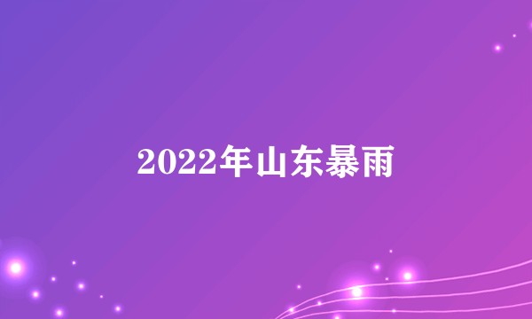 2022年山东暴雨