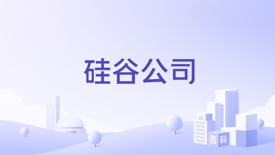 硅谷公司