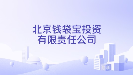 北京钱袋宝投资有限责任公司
