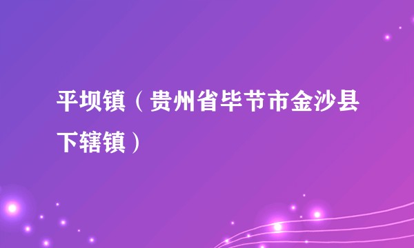 平坝镇（贵州省毕节市金沙县下辖镇）