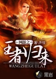 网游之王者归来（齐悦创作的游戏类网络小说）