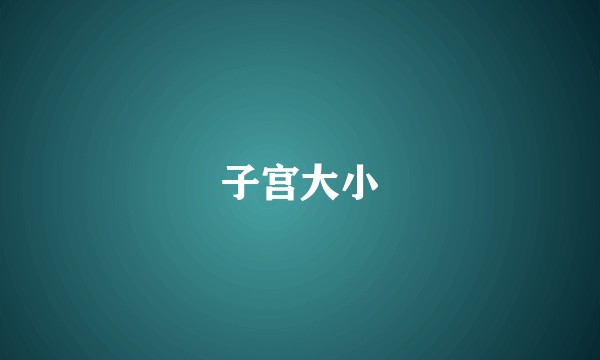 子宫大小
