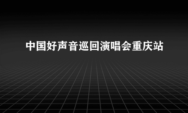 中国好声音巡回演唱会重庆站