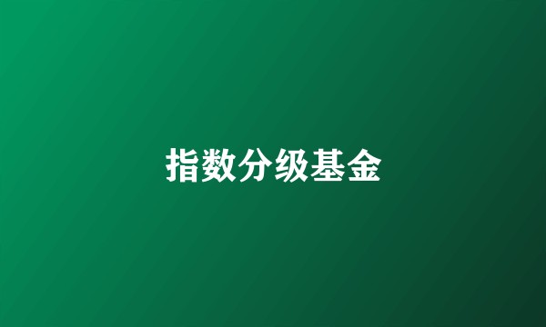 指数分级基金