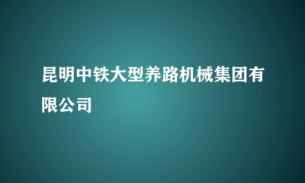 昆明中铁大型养路机械集团有限公司