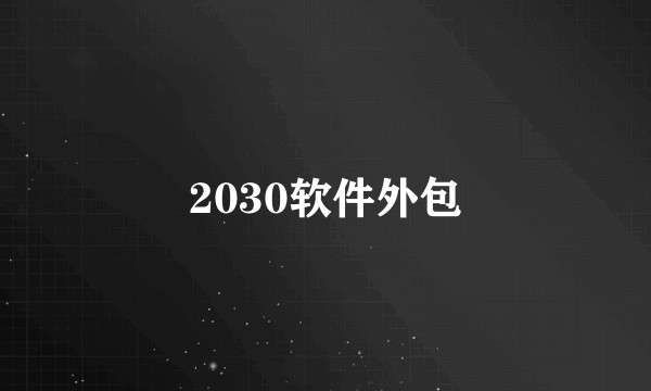 2030软件外包