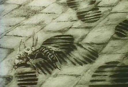 反射弧（波兰1979年杰兹·库侠执导的动画短片）