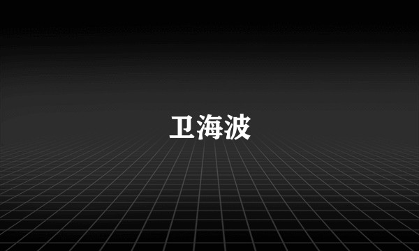 卫海波
