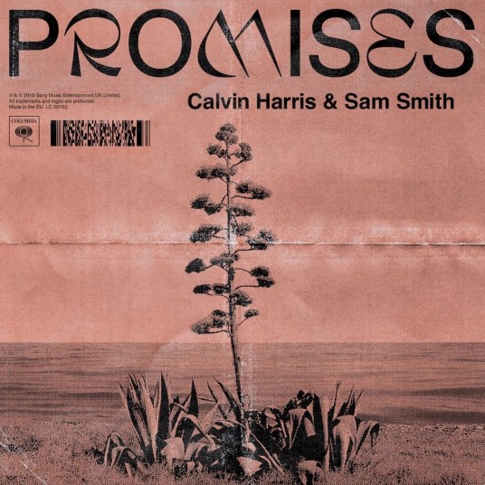 promises（卡尔文·哈里斯/山姆·史密斯合作单曲）