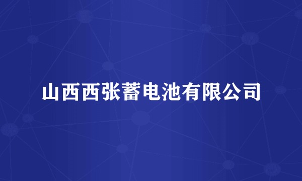 山西西张蓄电池有限公司