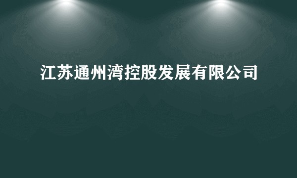 江苏通州湾控股发展有限公司