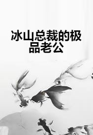 冰山总裁的极品老公