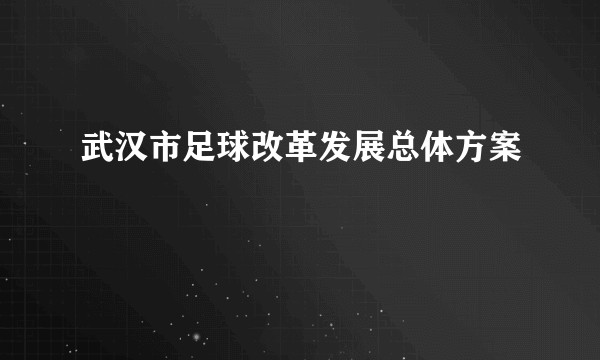 武汉市足球改革发展总体方案