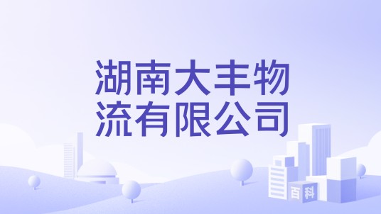 湖南大丰物流有限公司