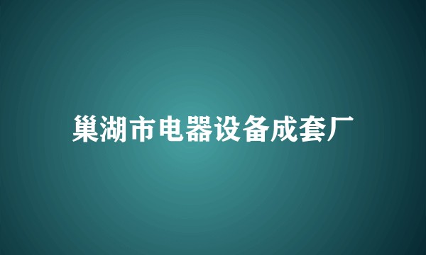 巢湖市电器设备成套厂