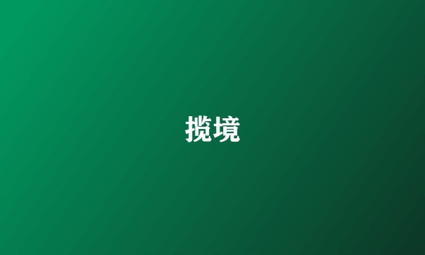揽境