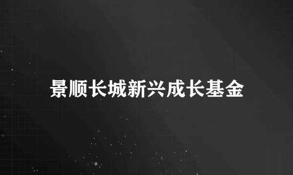 景顺长城新兴成长基金