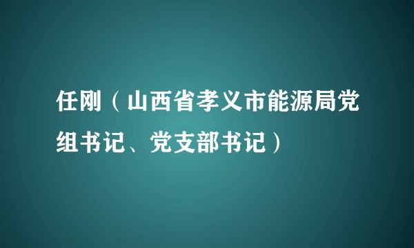 任刚（山西省孝义市能源局党组书记、党支部书记）