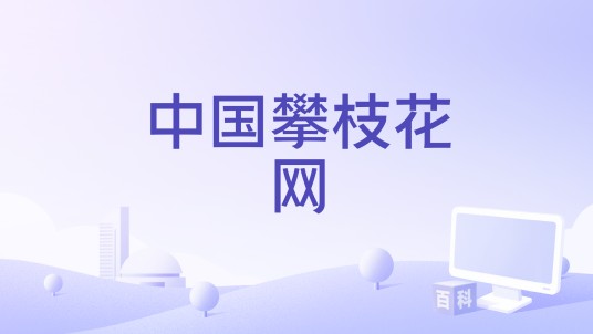 中国攀枝花网