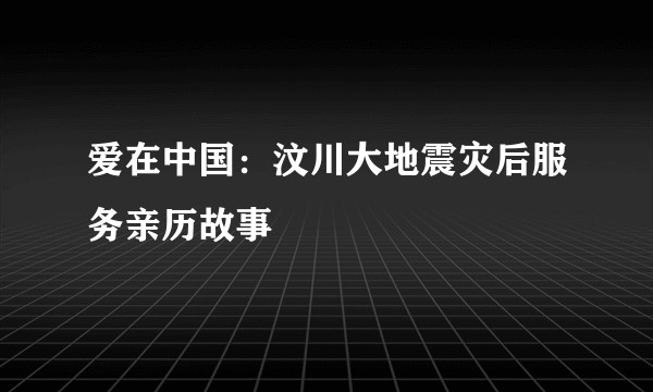 爱在中国：汶川大地震灾后服务亲历故事