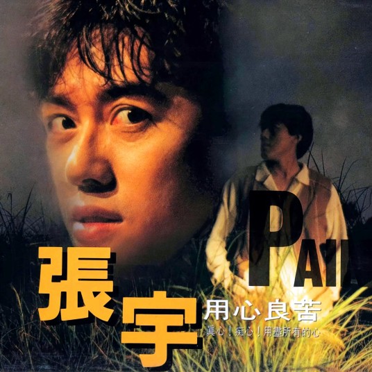 用心良苦（1993年张宇发行的音乐专辑）
