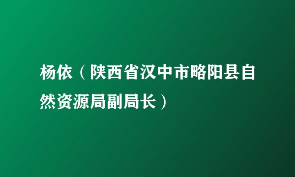 杨依（陕西省汉中市略阳县自然资源局副局长）