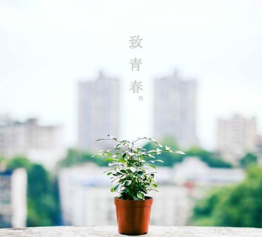 致青春（现代诗人葛冬冬创作的诗歌）