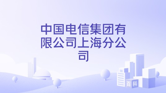 中国电信集团有限公司上海分公司