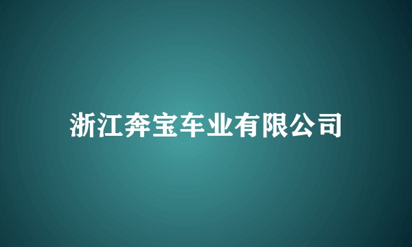 浙江奔宝车业有限公司