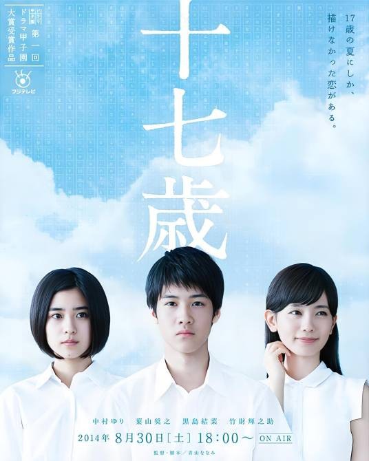 十七岁（2014年日本富士台第1届电视剧甲子园获奖作品）