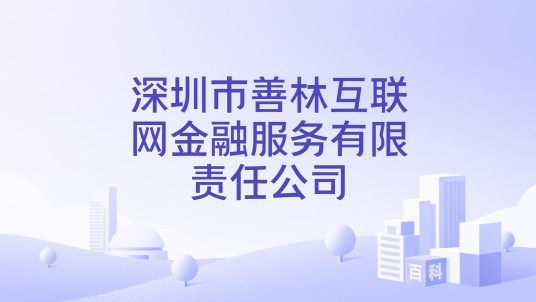 深圳市善林互联网金融服务有限责任公司