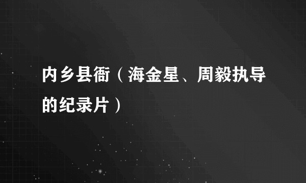 内乡县衙（海金星、周毅执导的纪录片）