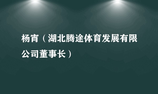 杨宵（湖北腾途体育发展有限公司董事长）