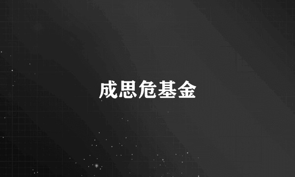 成思危基金